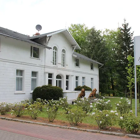 Meeressterne Weisses Schloss